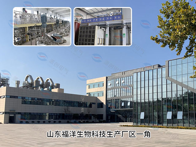 山東福洋生物科技生產廠區一角 山東福洋生物科技生產廠區一角